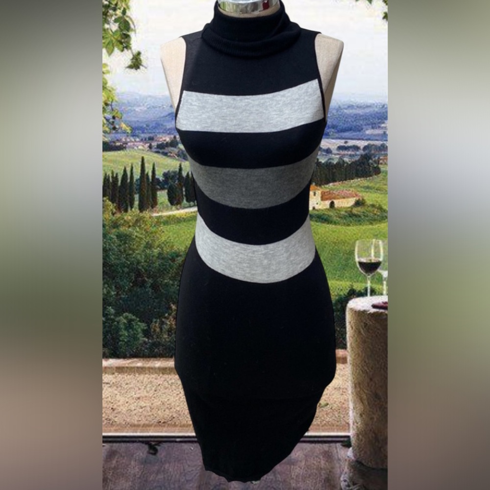 Minnie Rose Cashmere gorgeous stretchy luxury sleeveless dress